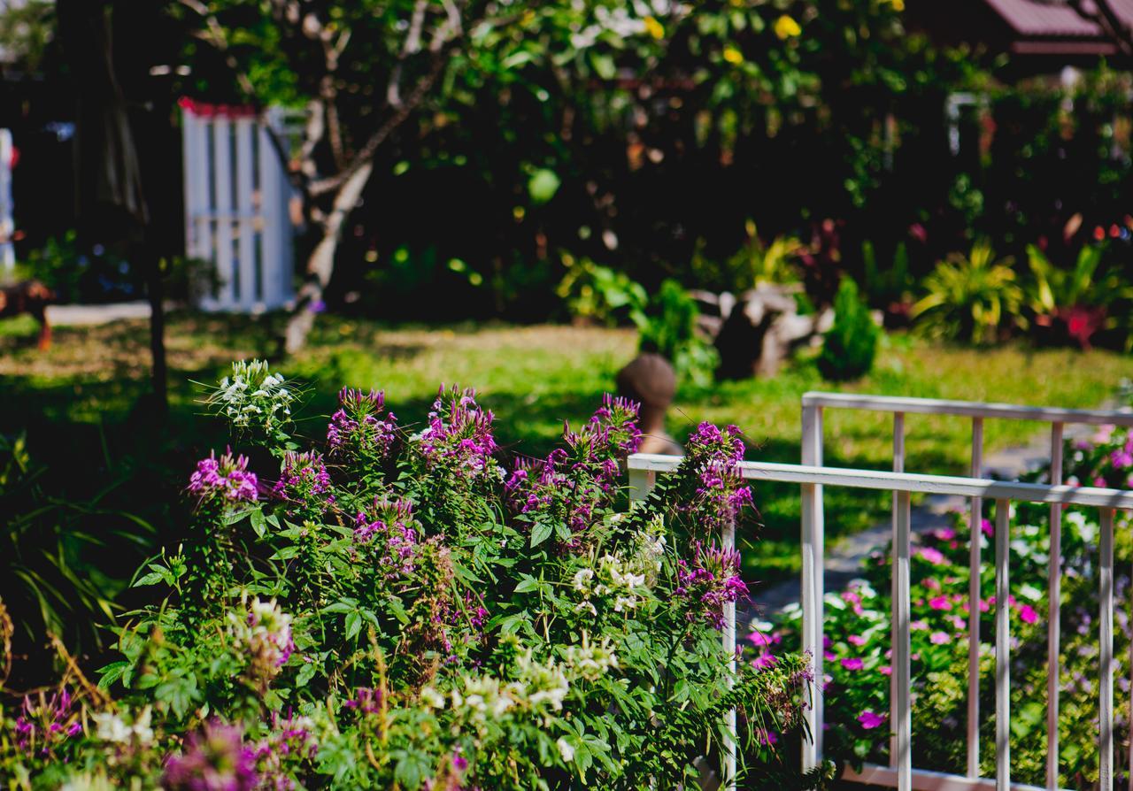 Manyi Boutique House Hotel Chiang Mai Luaran gambar